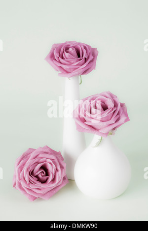 Tre rose rosa in vasi di colore bianco Foto Stock