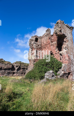 Castello Rosso a Lunan Bay sulla costa di Angus in Scozia. Foto Stock