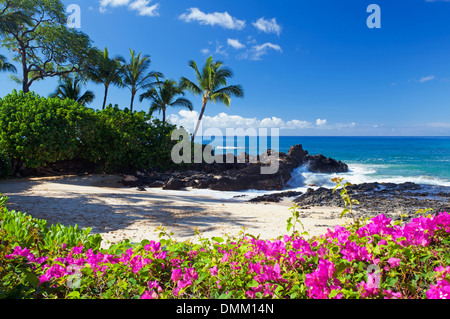 Fiori in una spiaggia segreta, Maui, Hawaii. Foto Stock