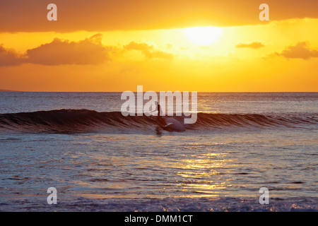 Stand up paddling a Launiupoko Park, Maui, Hawaii al tramonto. Foto Stock