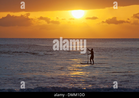 Stand up paddling a Launiupoko Park, Maui, Hawaii al tramonto. Foto Stock