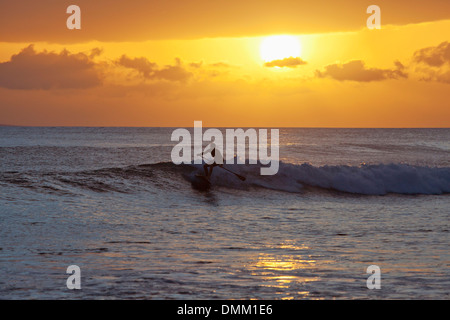 Stand up paddling a Launiupoko Park, Maui, Hawaii al tramonto. Foto Stock