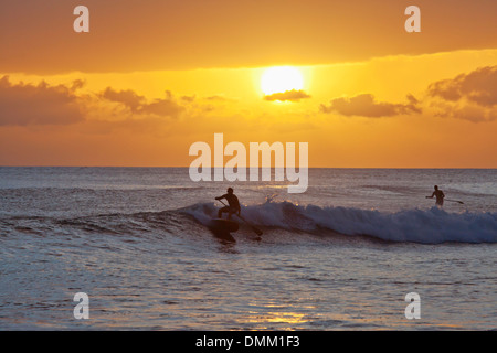 Stand up paddling a Launiupoko Park, Maui, Hawaii al tramonto. Foto Stock