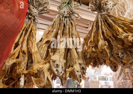 Spellate e essiccato rane in coreano la medicina tradizionale store - Busan, Corea del Sud Foto Stock