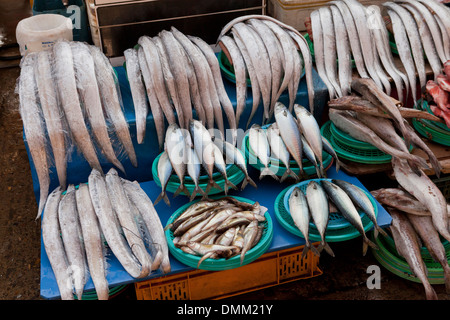 Varie Il pesce fresco di stand a Jagalchi shijang (Tradizionale mercato all'aperto) - Busan, Corea del Sud Foto Stock