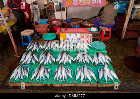 Sgombri freschi stand a Shijang (Tradizionale mercato all'aperto) - Busan, Corea del Sud Foto Stock