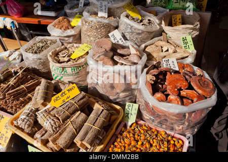 Tradizionale Coreana di medicina di erbe ingredienti al mercato - Busan, Corea del Sud Foto Stock