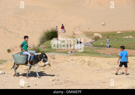 Berber boy cavalcando un asino una piccola valle vicino a un villaggio berbero sulla costa a sud di essaouira marocco Foto Stock