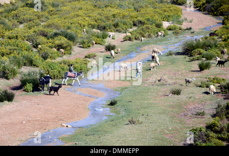 Esecuzione del flusso attraverso un oasi in una piccola valle vicino a un villaggio berbero sulla costa a sud di essaouira marocco Foto Stock