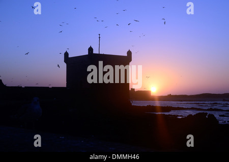 Vista di skala du port vicino alla vecchia città di Essaouira, città costiera del Marocco. Foto Stock