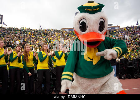 24 ottobre 2009: Oregon la mascotte, Donald Duck celebra dopo un touchdown nel gioco tra il #11 classificato Oregon Ducks e il Washington Huskies essendo svolto presso Husky Stadium di Seattle, WA...credito obbligatorio: Andrew Fredrickson / Southcreek globale di credito (Immagine: © Southcreek globale/ZUMApress.com) Foto Stock