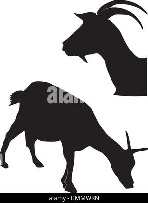 Set di sagome di capra Illustrazione Vettoriale