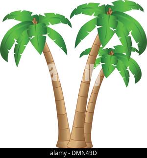 Il vettore albero tropicale isolata su sfondo bianco Illustrazione Vettoriale