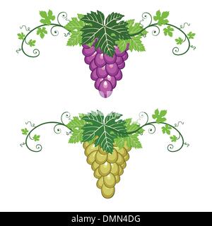 Uva confine con foglie su sfondo bianco Illustrazione Vettoriale