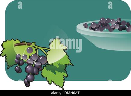 ribes nero Illustrazione Vettoriale