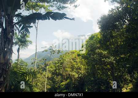 Vista del colombiano della foresta pluviale tropicale e montagne Foto Stock