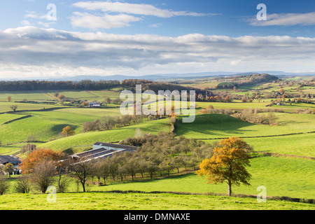 Herefordshire campagna autunnale dalla cresta Marcle vicino molto Marcle, Herefordshire, England, Regno Unito Foto Stock