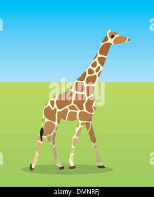 giraffa di vettore Illustrazione Vettoriale