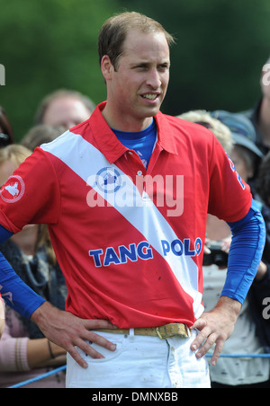 Il principe William Duca di Cambridge gioca in una partita di polo a Cirencester Polo Club Cirencester Inghilterra - 05.08.12 Foto Stock