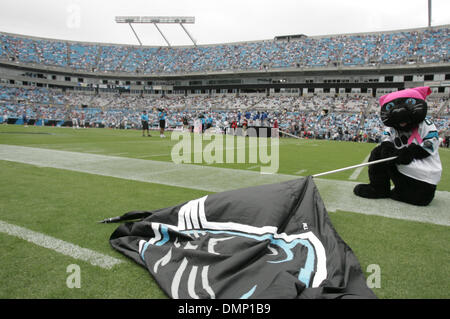 Ottobre 13, 2009 - Charlotte, North Carolina, Stati Uniti - 11 Ottobre 2009: Carolina Panther mascot Sir Purr si affaccia sulla Bank of America Stadium. Il Carolina Panthers sconfitto Washington Redskins 20-17 presso la Bank of America Stadium di Charlotte, North Carolina. (Credito Immagine: © Margaret Bowles/Southcreek globale/ZUMApress.com) Foto Stock