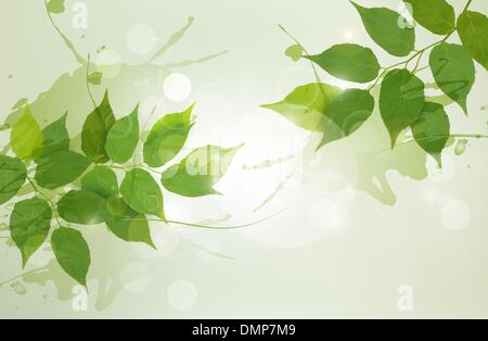 Natura con sfondo verde foglie a molla. Illustrazione Vettoriale. Illustrazione Vettoriale