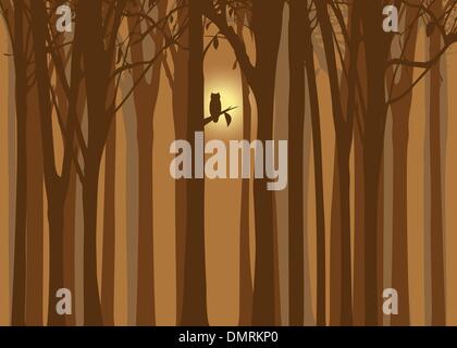 Halloween illustrazione autunno foresta con il gufo Illustrazione Vettoriale