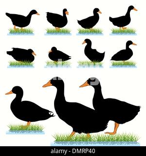 11 anatre sagome impostato Illustrazione Vettoriale