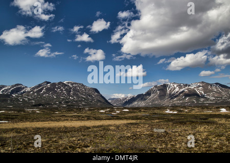 Deserto come si vede dall'autostrada di Denali in Alaska Foto Stock