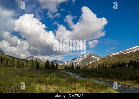 Creek e prato con vista montagne e puffy nuvole sulla strada di Hatcher Pass in Alaska in estate. Foto Stock