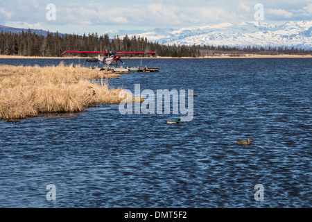 Red idrovolanti sul lago Beluga vicino a Omero, Alaska con una coppia di le anatre bastarde e montagne panoramiche in background. Foto Stock