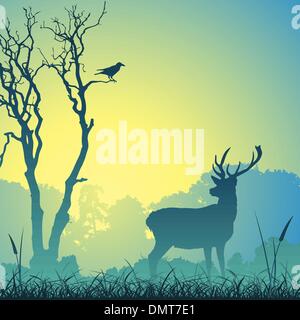 Cervo Cervo maschio Illustrazione Vettoriale
