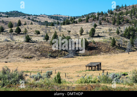 Magazzino rifugio nelle colline dipinte di unità di John Day Fossil Beds National Monument Foto Stock