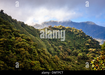La foresta pluviale di Monteverde in Costa Rica Foto Stock