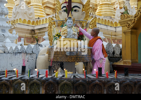 Shwedagon pagoda - a 112m questa è la Birmania è più grande e più sacro pagoda. Conosciuta anche come la pagoda dorata è stata saccheggiata molte volte per la estremamente preziose pietre preziose che decorano il tis livelli superiore. Esso attira pellegrini per tutta l'Asia buddista, Rangoon, Birmania. Qui una suora birmana, vestita in rosa caratteristica, si versa acqua su uno dei 8 giorni di santuari che circonda la pagoda. Foto Stock