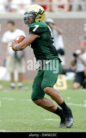 Sett. 26, 2009 - Tallahassee, Florida, Stati Uniti - 26 Settembre 2009: Università di Florida del Sud quarterback BJ Daniels (7) guarda a gettare nel terzo trimestre. L'Università della Florida del Sud tori ha vinto 17-7 in questo gioco di mezzogiorno a Doak S. Campbell Stadium di Tallahassee, FL. (Credito Immagine: © Southcreek globale/ZUMApress.com) Foto Stock