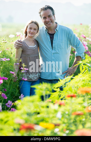 Estate su di una azienda agricola biologica. Un uomo e una ragazza in un campo di fiori. Foto Stock
