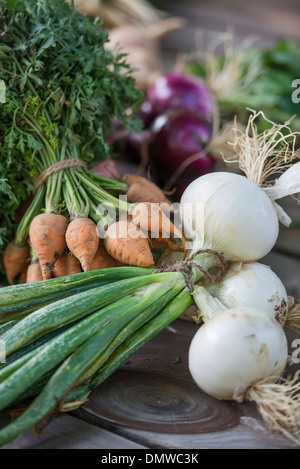 La cernita e la trinciatura appena raccolti di frutta e verdura. Foto Stock