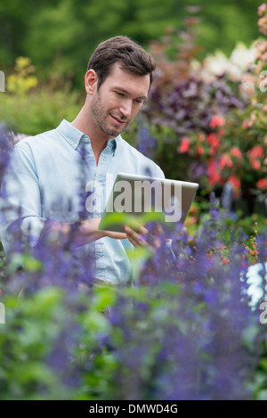 Un organico di piante e fiori vivaio. Un uomo che lavora utilizzando una tavoletta digitale. Foto Stock