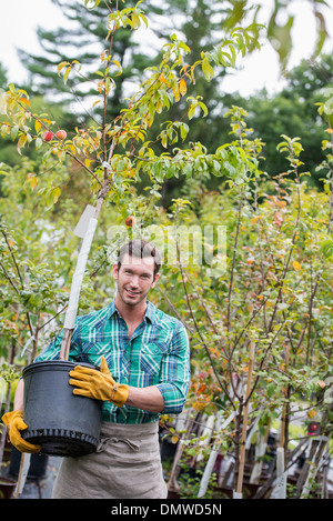 Un organico di piante e fiori vivaio. Un uomo che lavora portando un alberello albero in vaso. Foto Stock