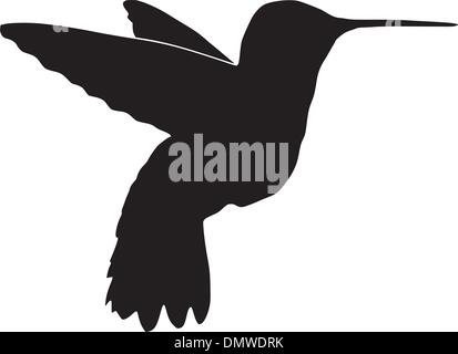 Silhouette di colibrì Illustrazione Vettoriale