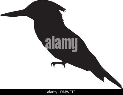 Silhouette di kingfisher Illustrazione Vettoriale