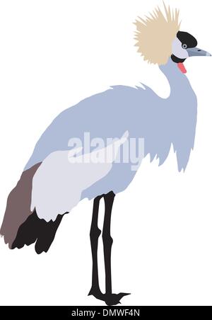 Rosso-Crowned Crane Illustrazione Vettoriale