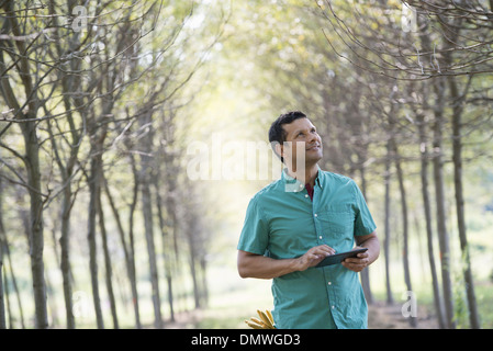 Un uomo in un viale di alberi in possesso di una tavoletta digitale. Foto Stock