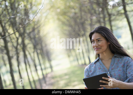 Una donna in un viale di alberi in possesso di una tavoletta digitale. Foto Stock