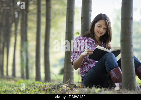 Una donna seduta a leggere un libro sotto gli alberi. Foto Stock