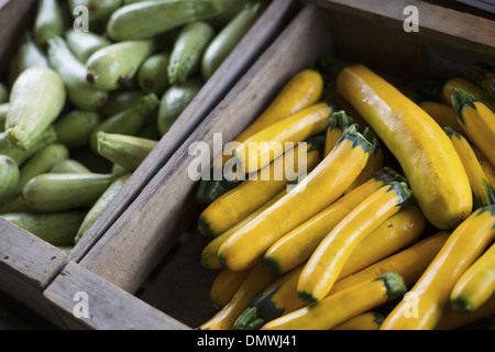 Un agriturismo biologico stand. Scatole di giallo e verde di zucchine. Foto Stock