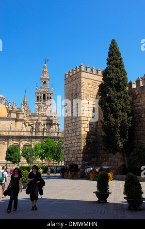 La cattedrale e la torre Giralda, Sevilla Siviglia(). Andalusia, Spagna. Foto Stock