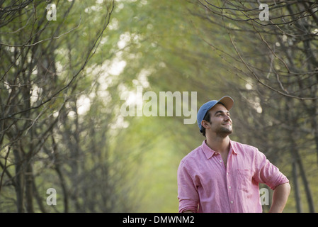Un uomo in un viale di alberi guardando verso l'alto. Foto Stock