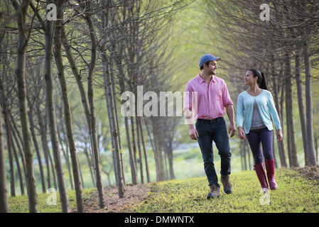 Un paio di passeggiate tra due filari di alberi. Foto Stock