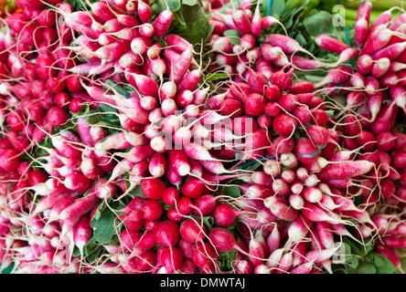 Mazzetti di ravanelli, Raphanus sativus su un mercato in stallo in qualsiasi città europea Foto Stock